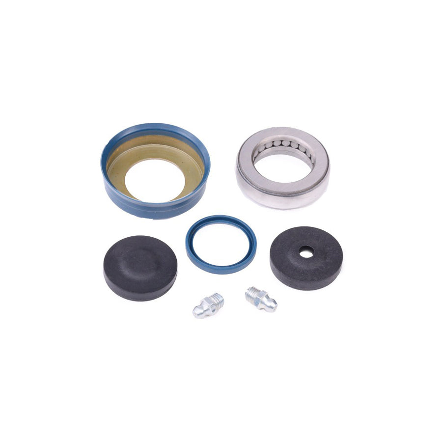 Auger 57125 Repair Kit, Kingpin for Renault Trucks Mascott