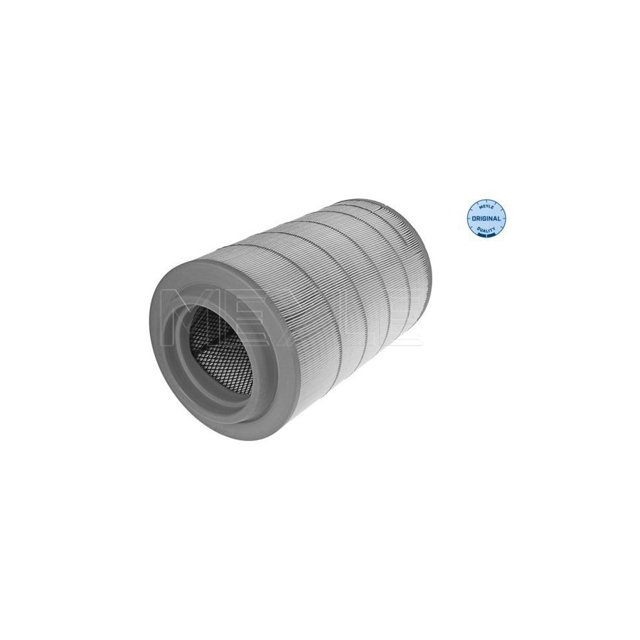 Meyle 12-34 321 0019 Air Filter