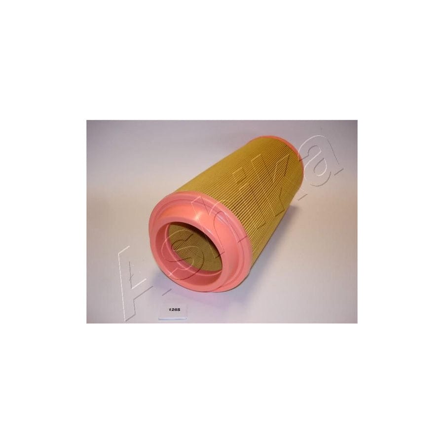 Ashika Air Filter