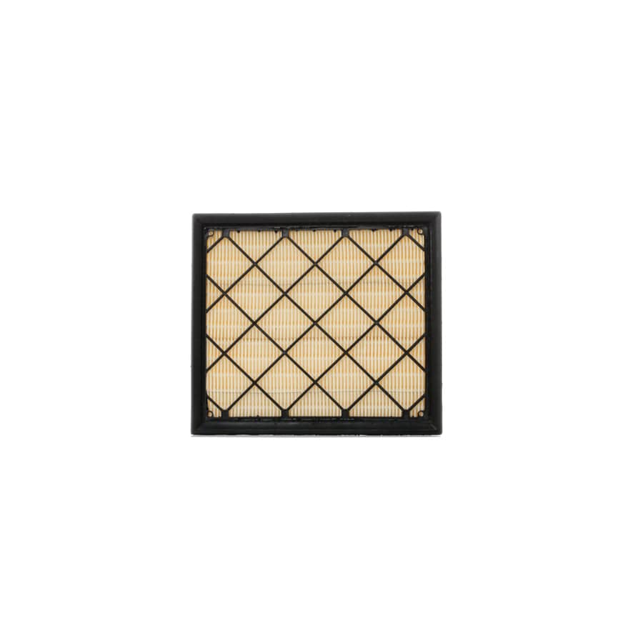 Ridex 8A0254 Air Filter