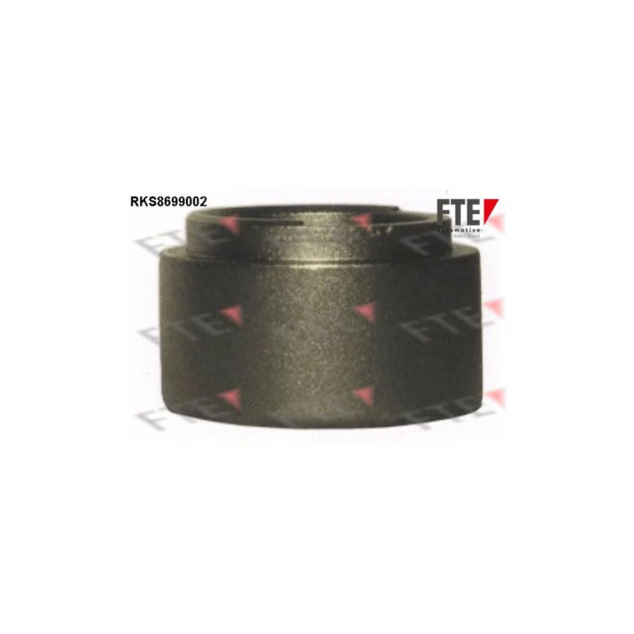 FTE 9313089 Piston, Brake Caliper