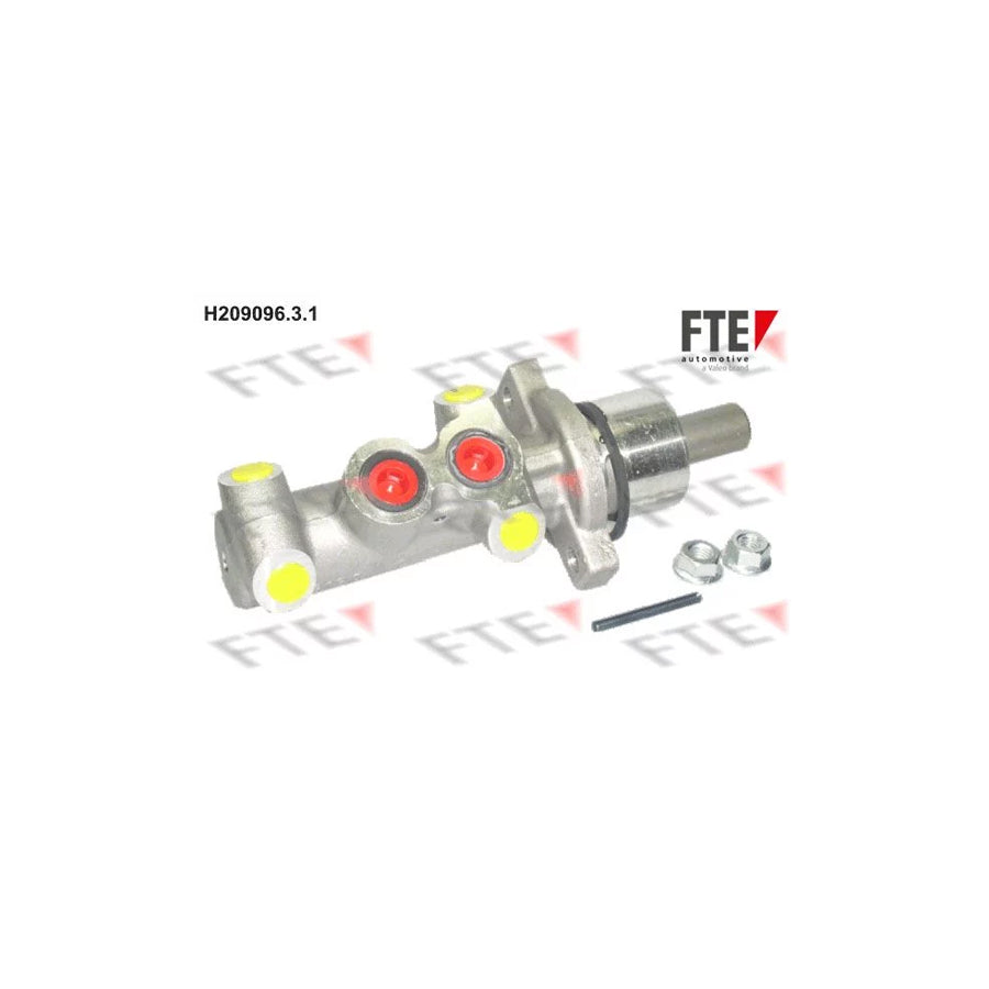FTE H209096.3.1 Brake Master Cylinder