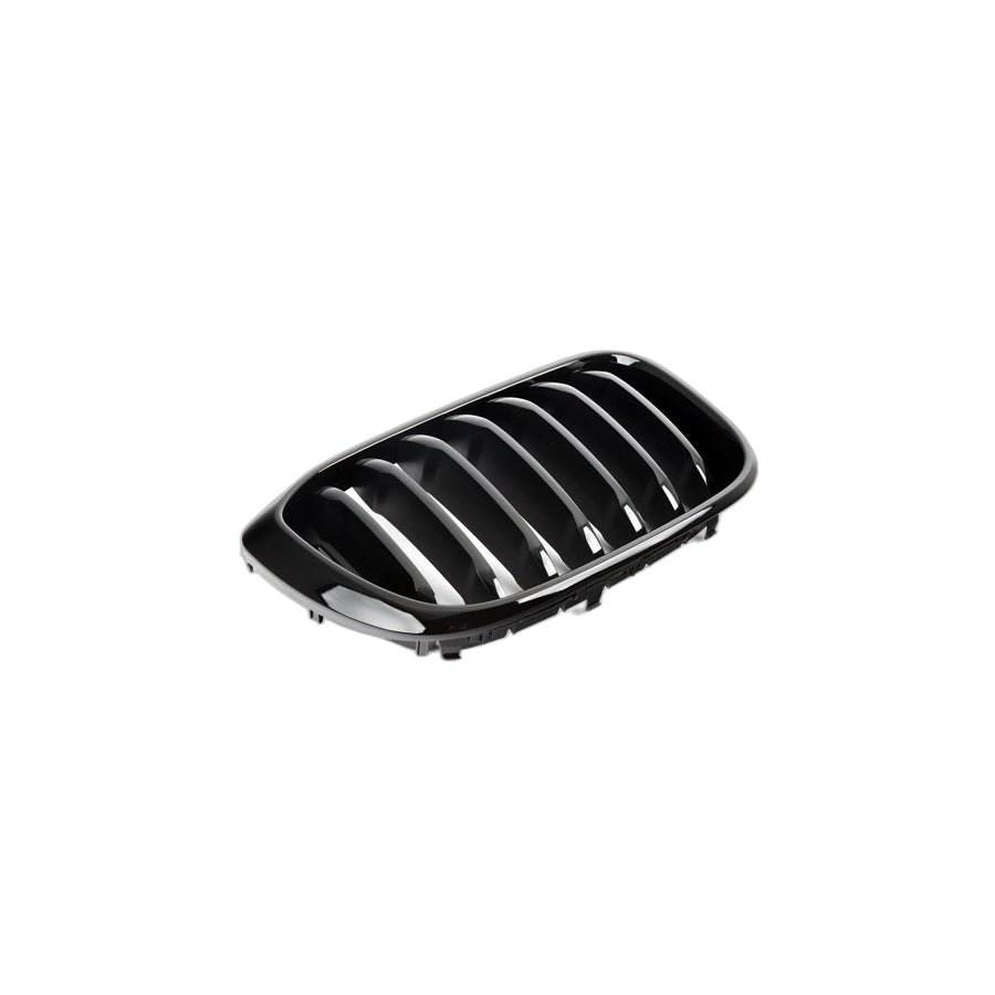 Genuine BMW 51138469960 Grille, Front, Right HGL SW (Inc. X4 20iX & X3)