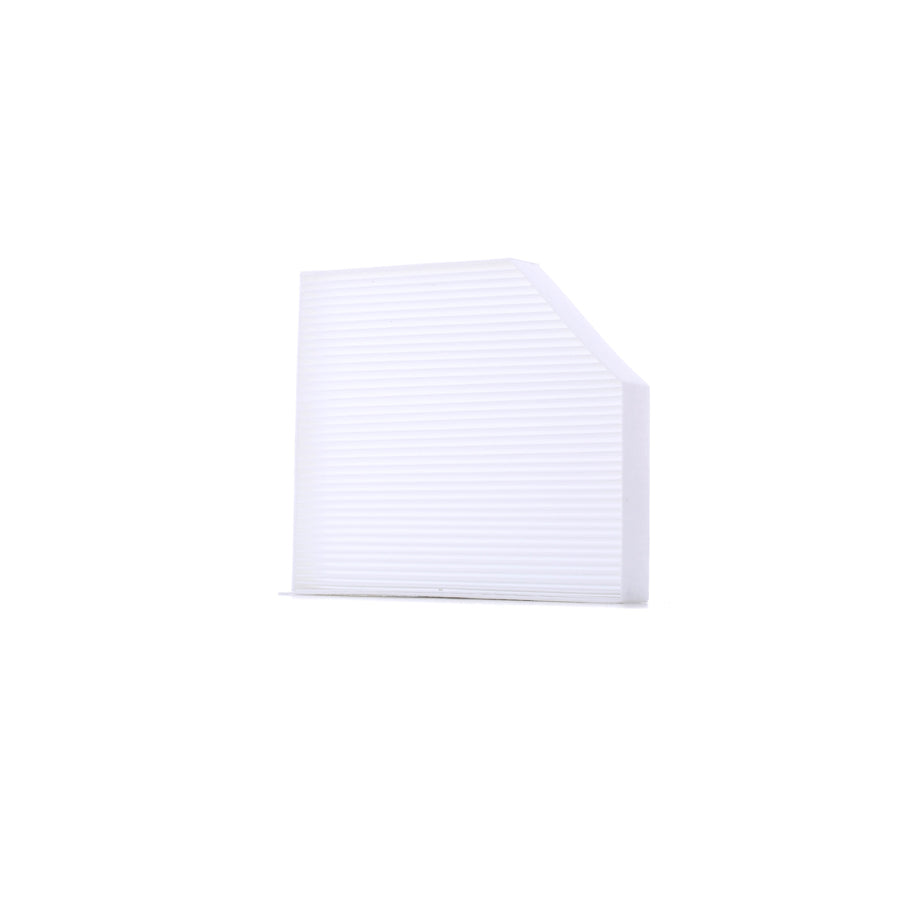 Master Sport 2450-IF-PCS-MS Pollen Filter