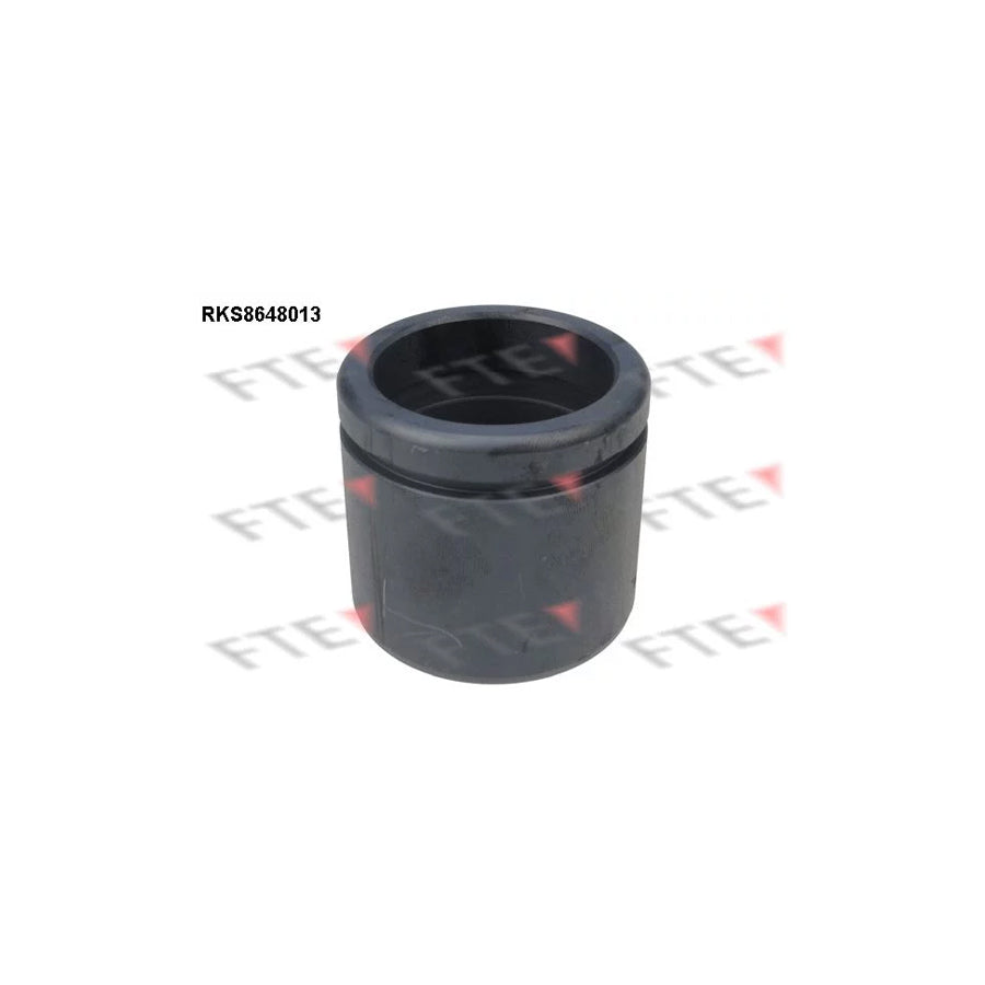 FTE 9313086 Piston, Brake Caliper