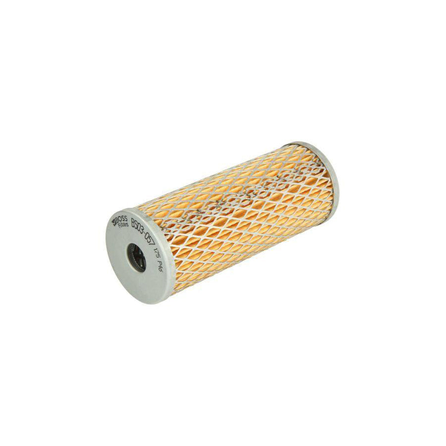 Boss Filters Bs04-029 Fuel Filter