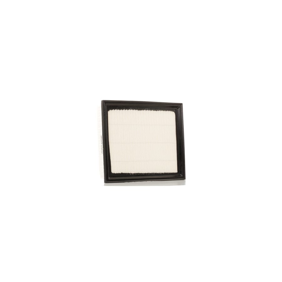 Ridex 8A0018 Air Filter