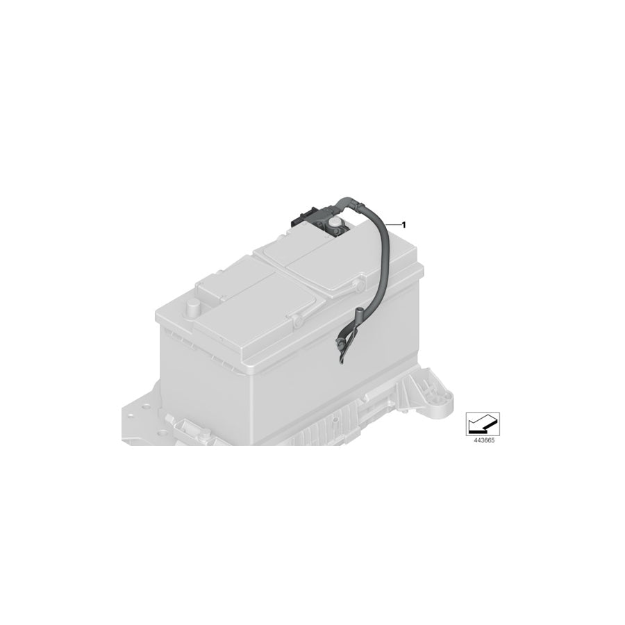 Genuine BMW 61219442117 F40 F44 Battery Cable, Negative, Ibs (Inc. 120dX, 118i & 228iX) | ML Performance US