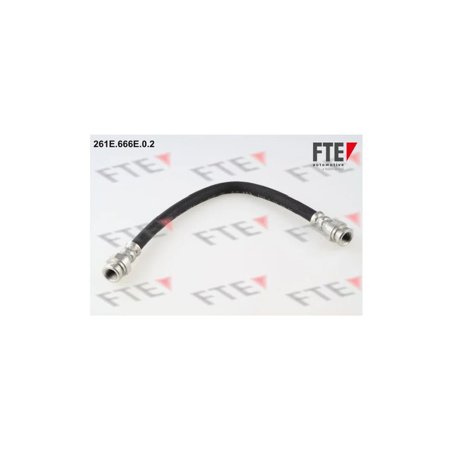 FTE 261E.666E.0.2 Brake Hose