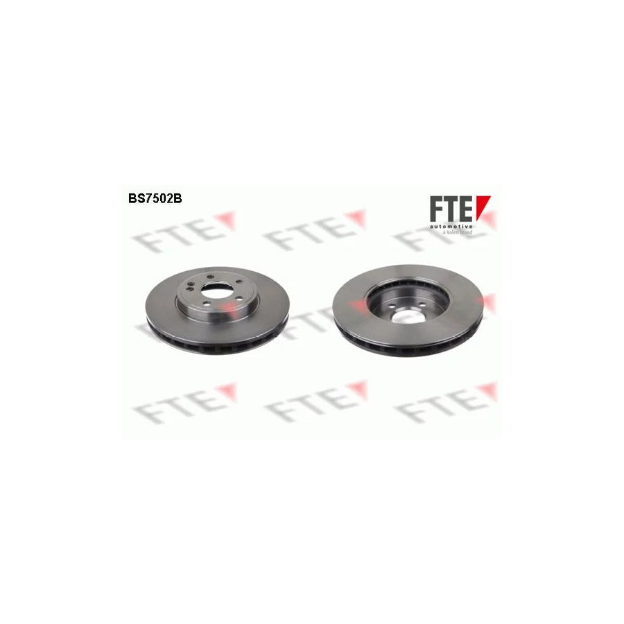 FTE 9081305 Brake Disc
