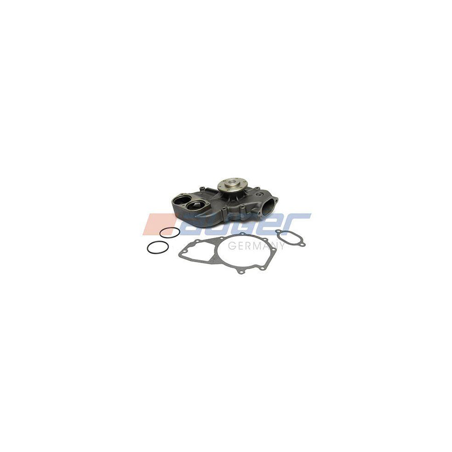 Auger 57673 Water Pump
