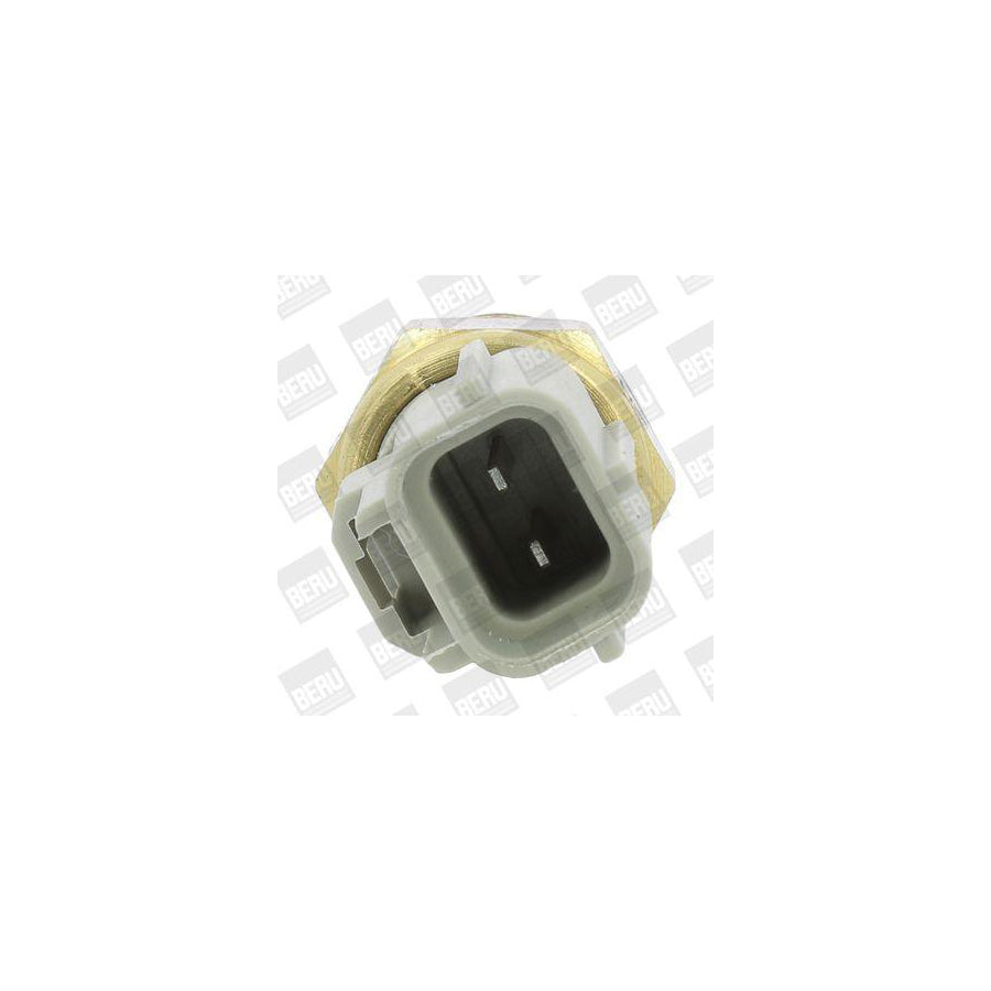 Beru St267 Sensor, Coolant Temperature
