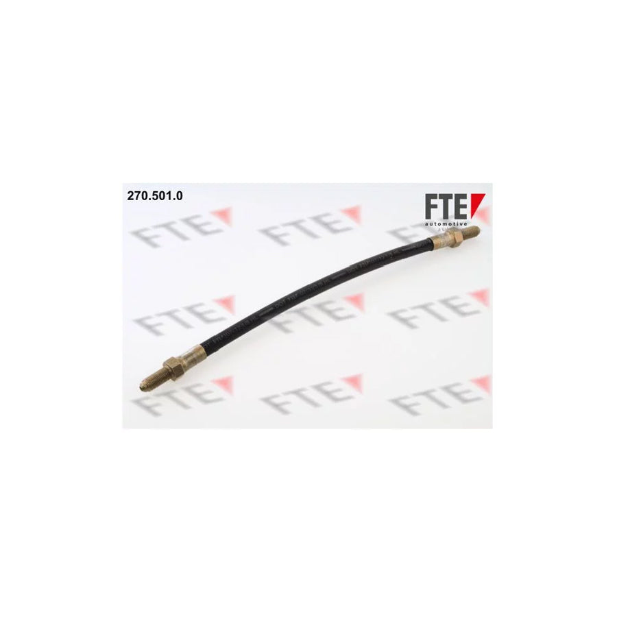 FTE 270.501.0 Brake Hose