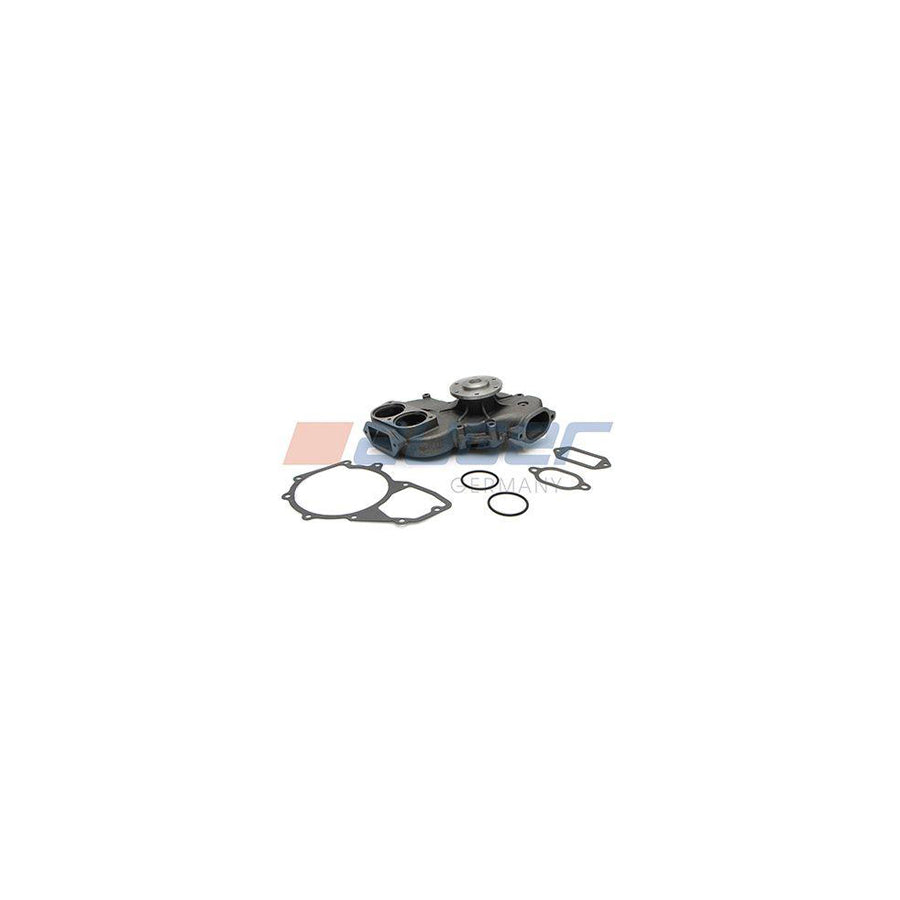 Auger 57663 Water Pump