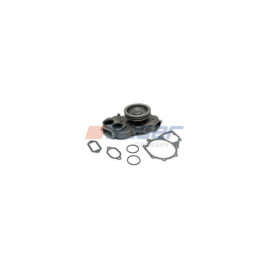 Auger 57698 Water Pump