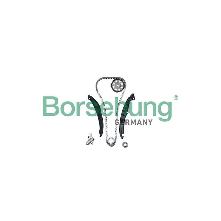 Borsehung B18824 Timing Chain Kit