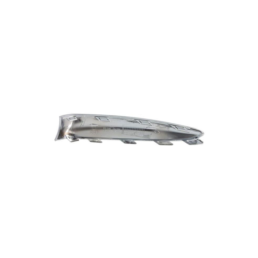 Blic 5703-05-2013928P Bumper Moulding