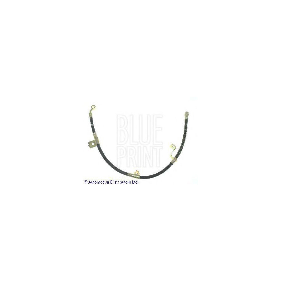 Blue Print Adg05381 Brake Hose