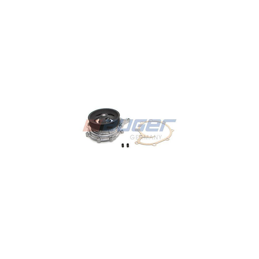 Auger 57758 Water Pump