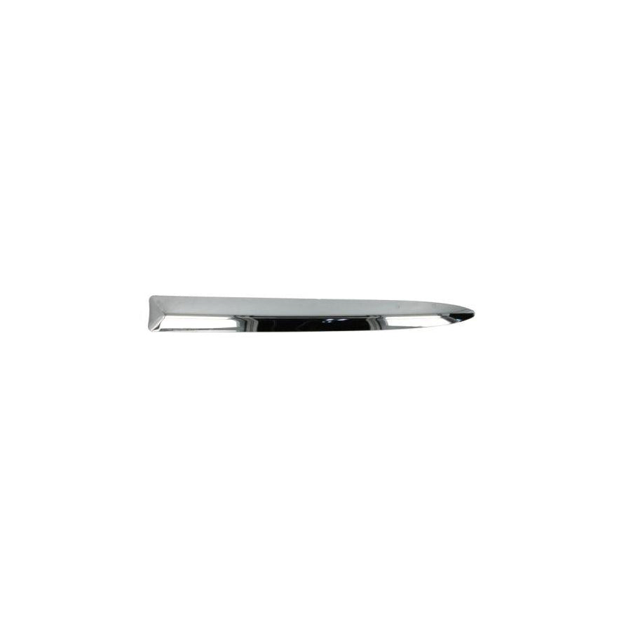 Blic 5703-05-2013923P Bumper Moulding