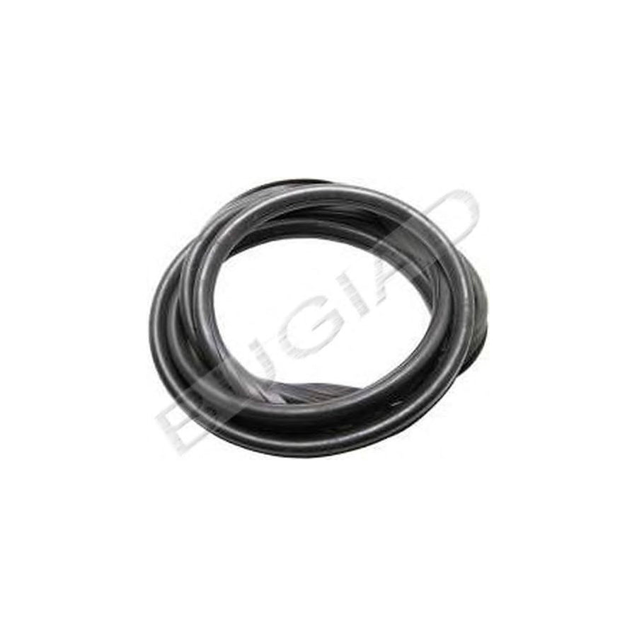 BUGIAD Bsp21830 Windscreen Seal