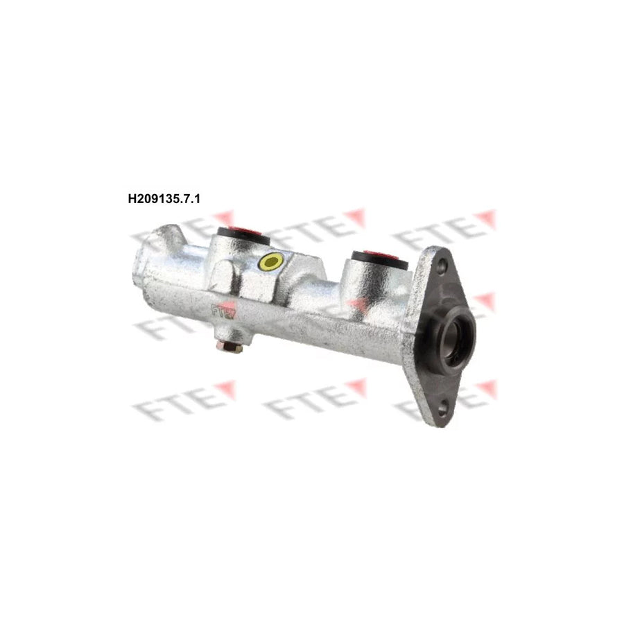FTE H209135.7.1 Brake Master Cylinder