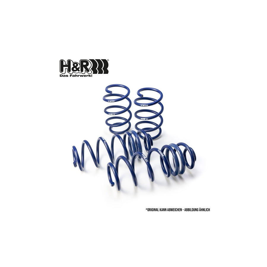 H&R 28673-1 Performance Lowering Springs | ML Performance US Car Parts