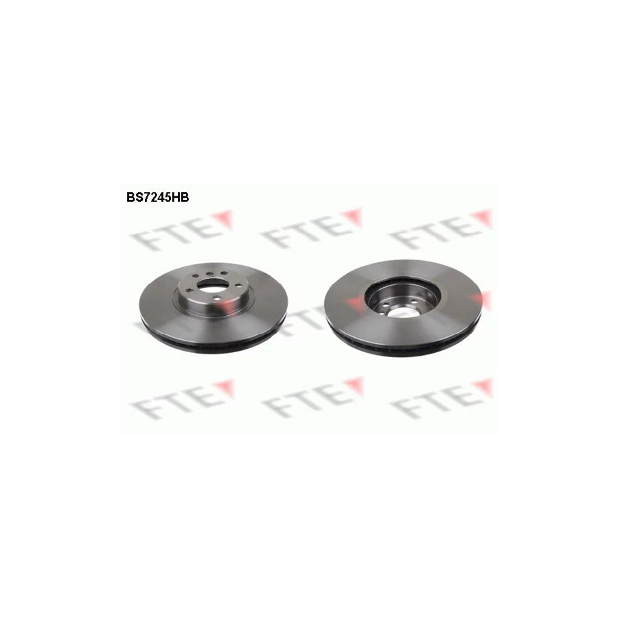 FTE 9081327 Brake Disc