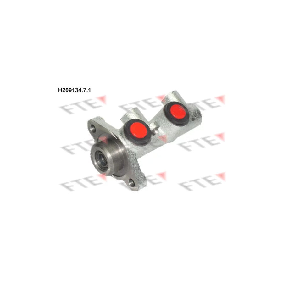 FTE H209134.7.1 Brake Master Cylinder