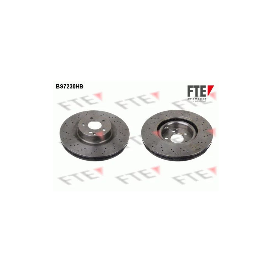 FTE 9081325 Brake Disc