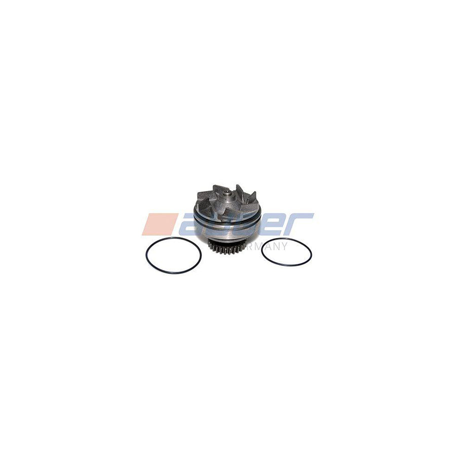 Auger 57801 Water Pump