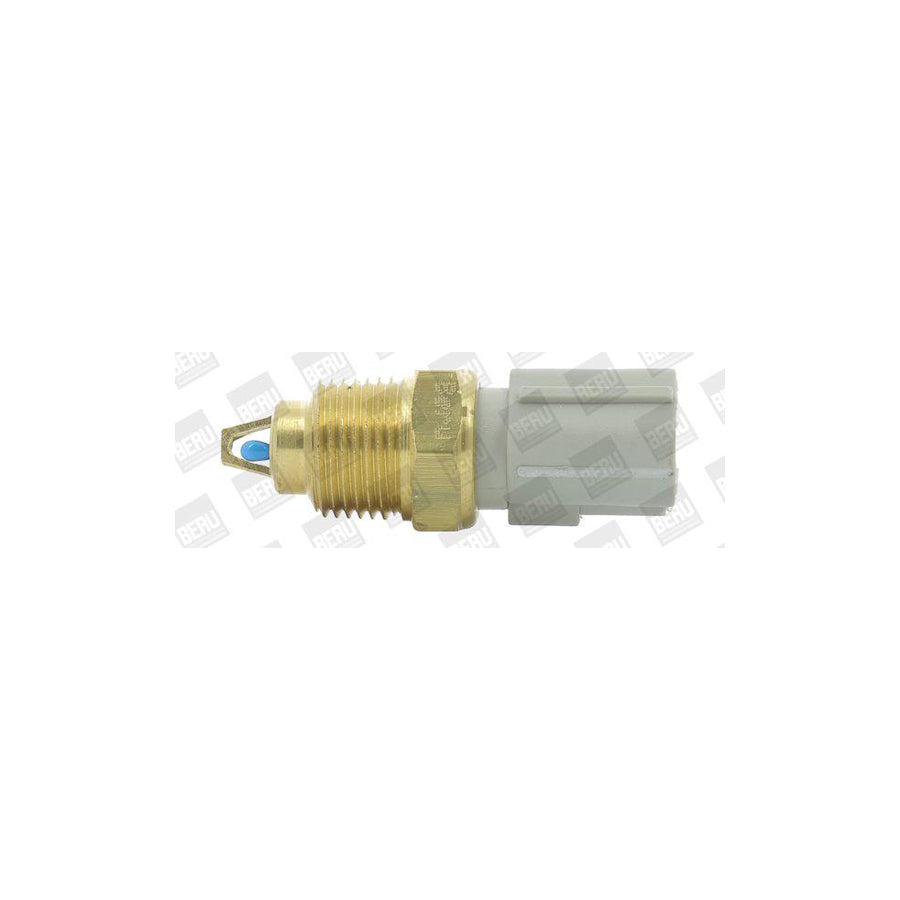 Beru St260 Sender Unit, Intake Air Temperature