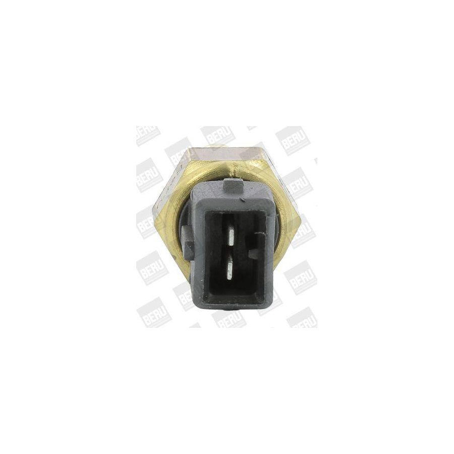 Beru St256 Sensor, Coolant Temperature