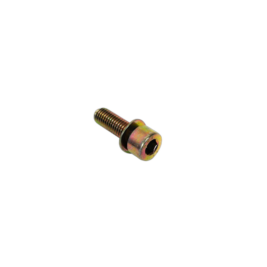 Genuine BMW 07119920022 E12 E24 E34 Fillister Head With Washer M8X25-Z3 (Inc. M6) | ML Performance US Car Parts