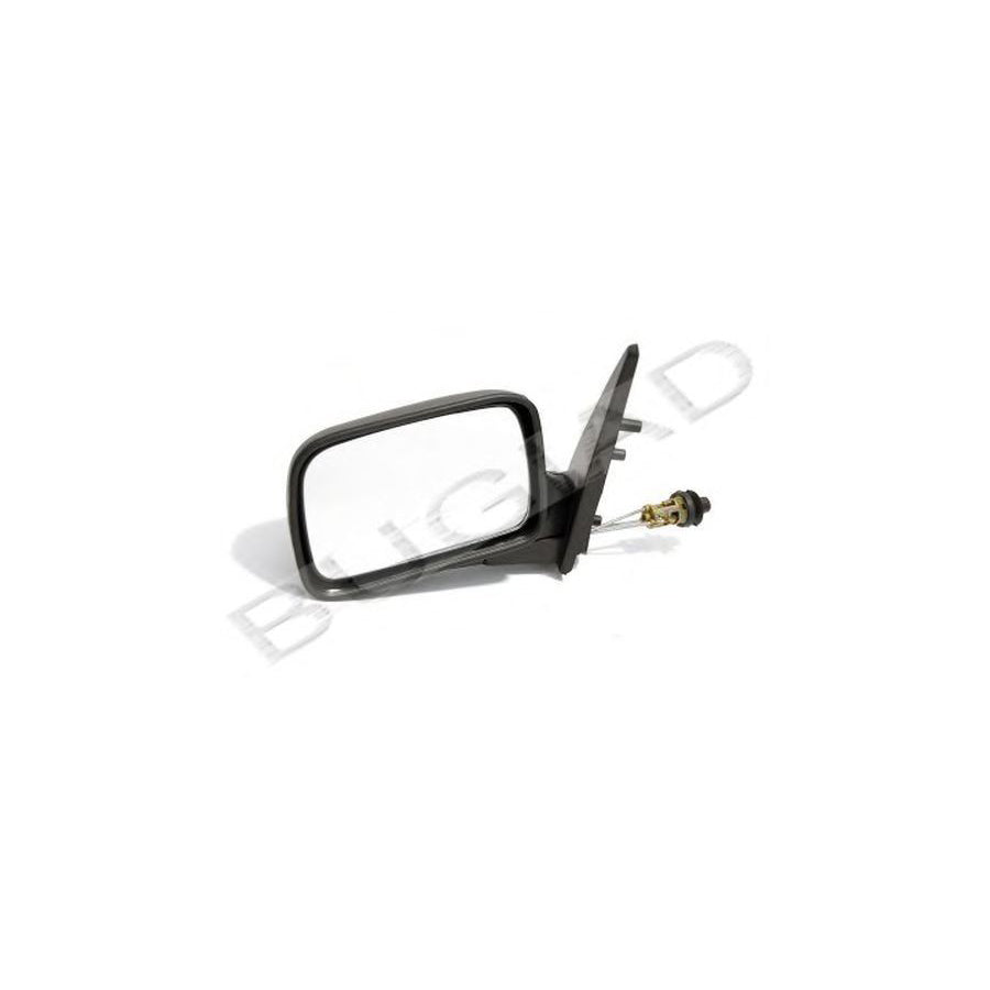 BUGIAD Bsp21824 Wing Mirror