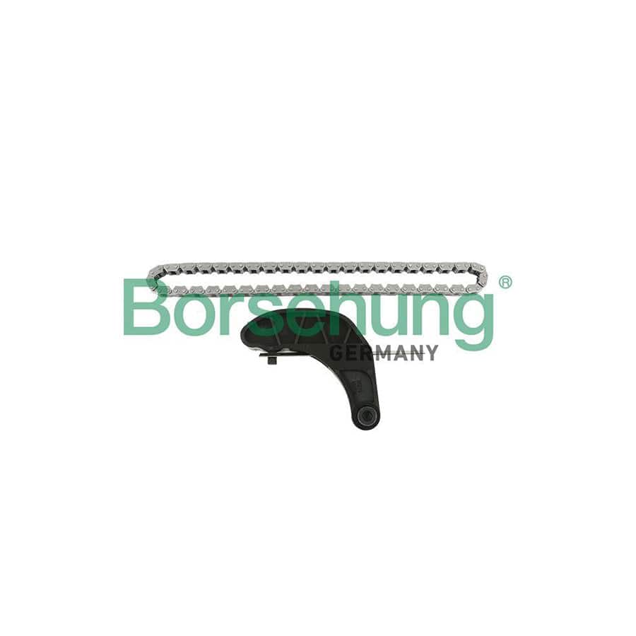 Borsehung B18851 Chain Set, Oil Pump Drive