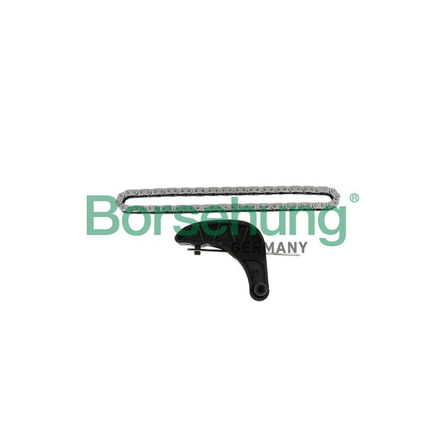 Borsehung B18850 Timing Chain Kit for Seat Ibiza