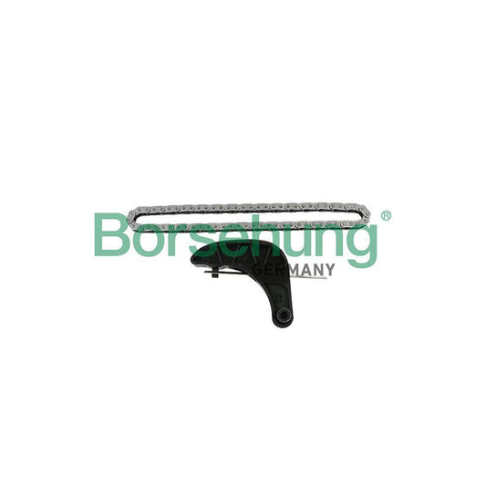 Borsehung B18850 Timing Chain Kit for Seat Ibiza