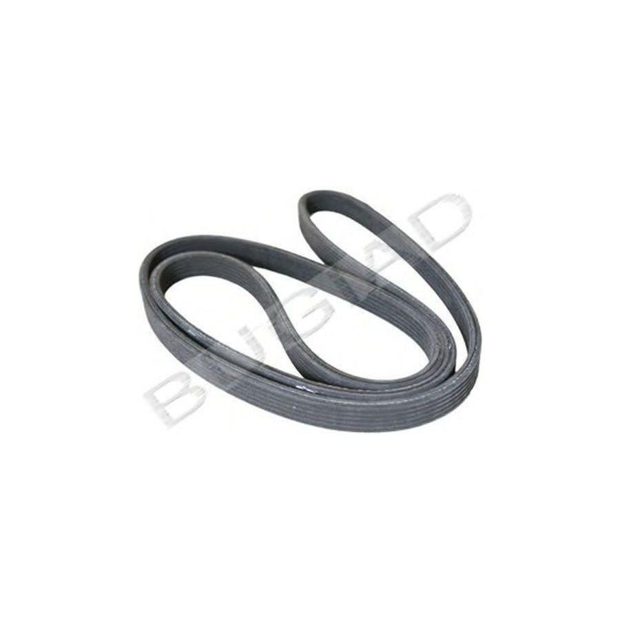 BUGIAD Bsp21855 V-Ribbed Belt
