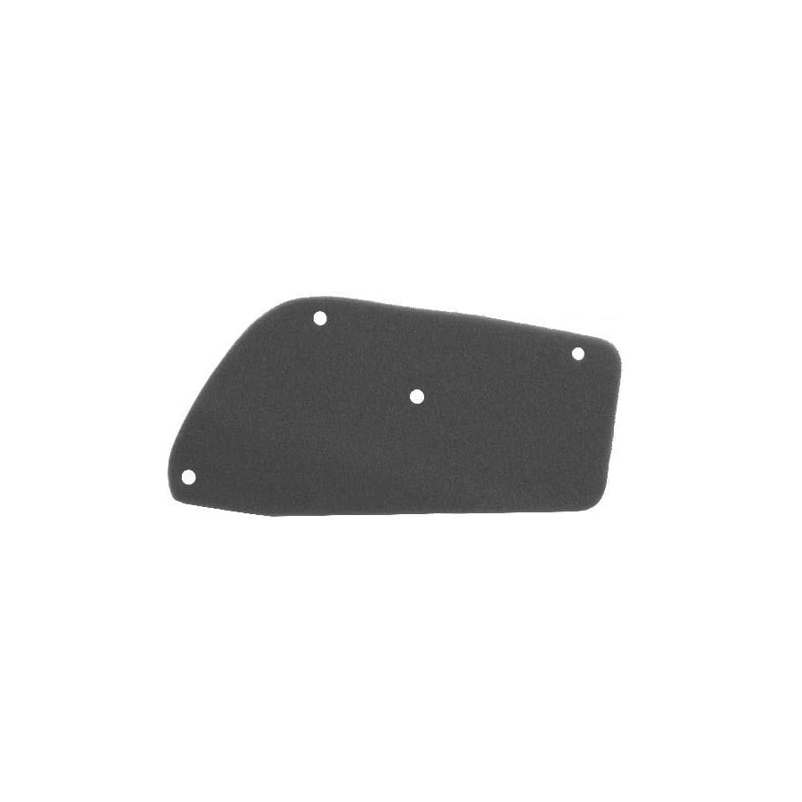 Rms 100600200 Air Filter
