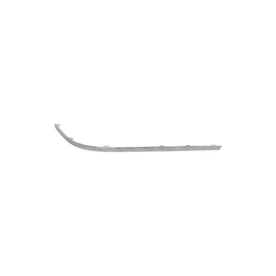 Blic 5513-00-9540962P Bumper Moulding For VW Passat