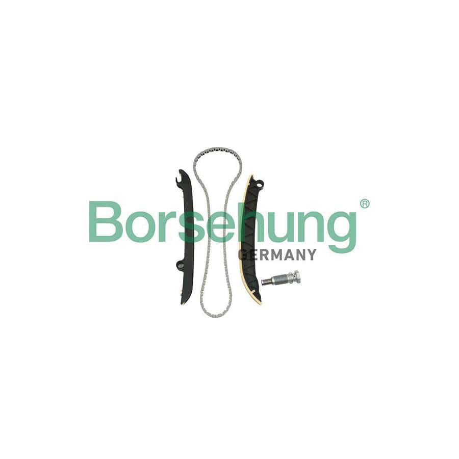 Borsehung B18843 Timing Chain Kit