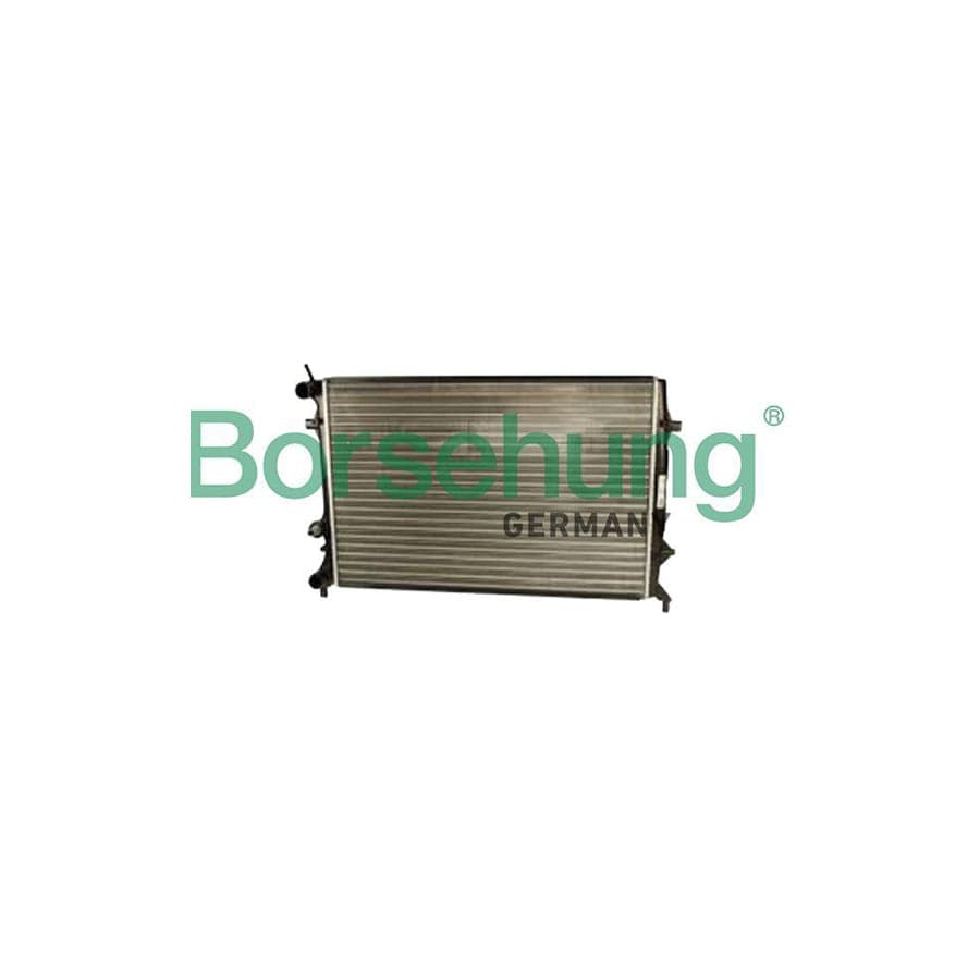 Borsehung B18839 Engine Radiator