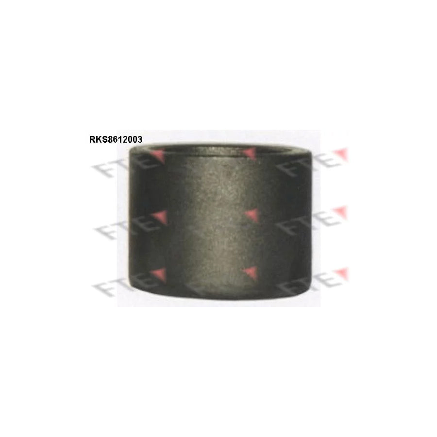 FTE 9313119 Piston, Brake Caliper