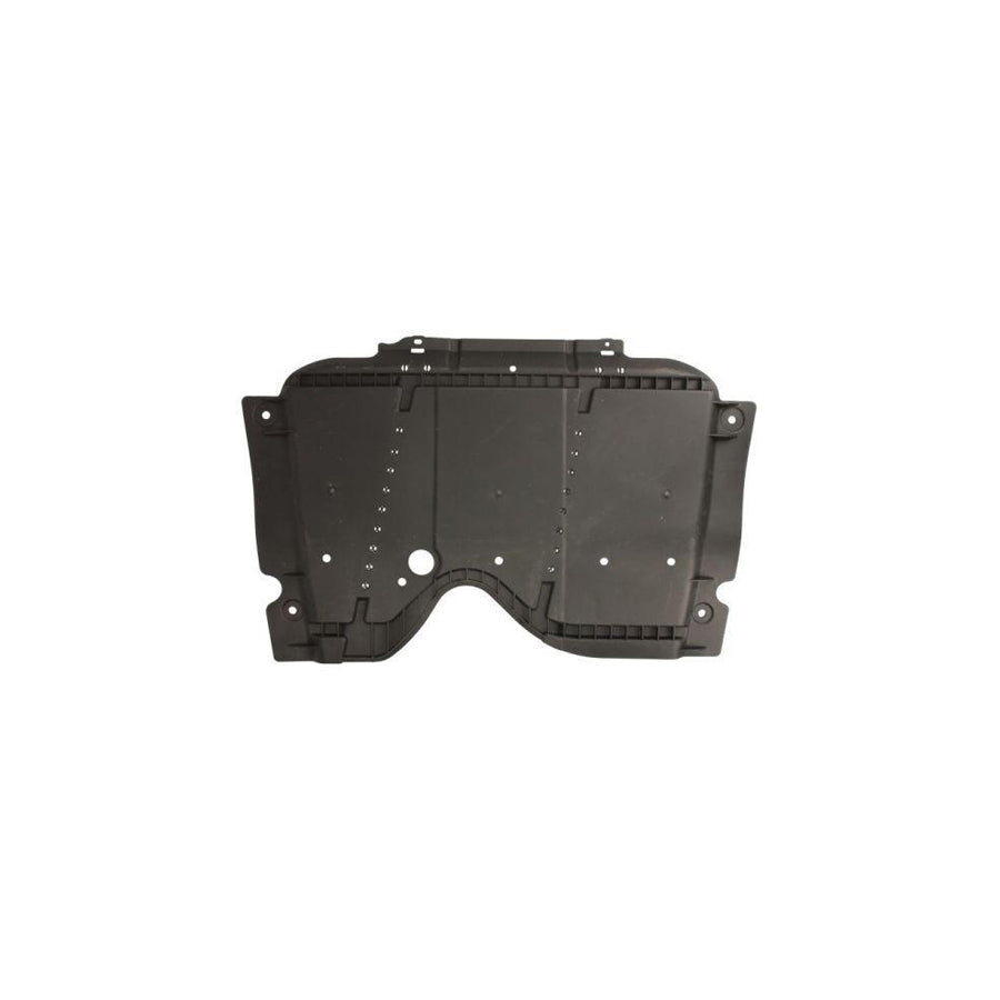 Blic 6601-02-1013881Q Engine Cover