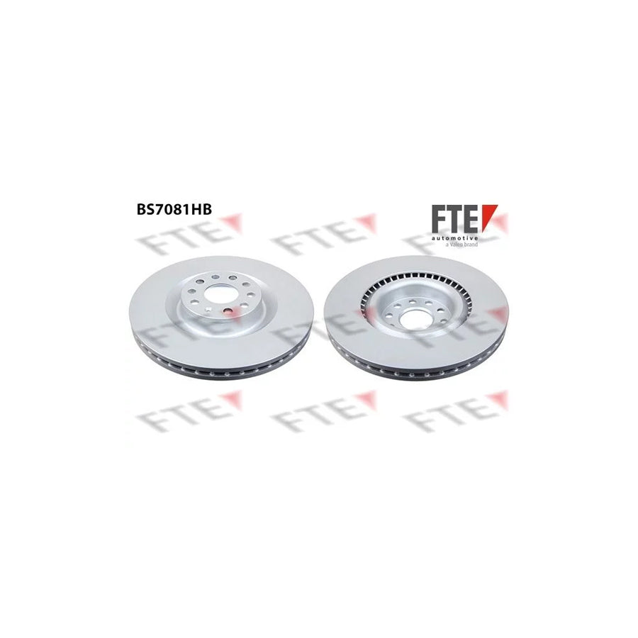 FTE 9081321 Brake Disc