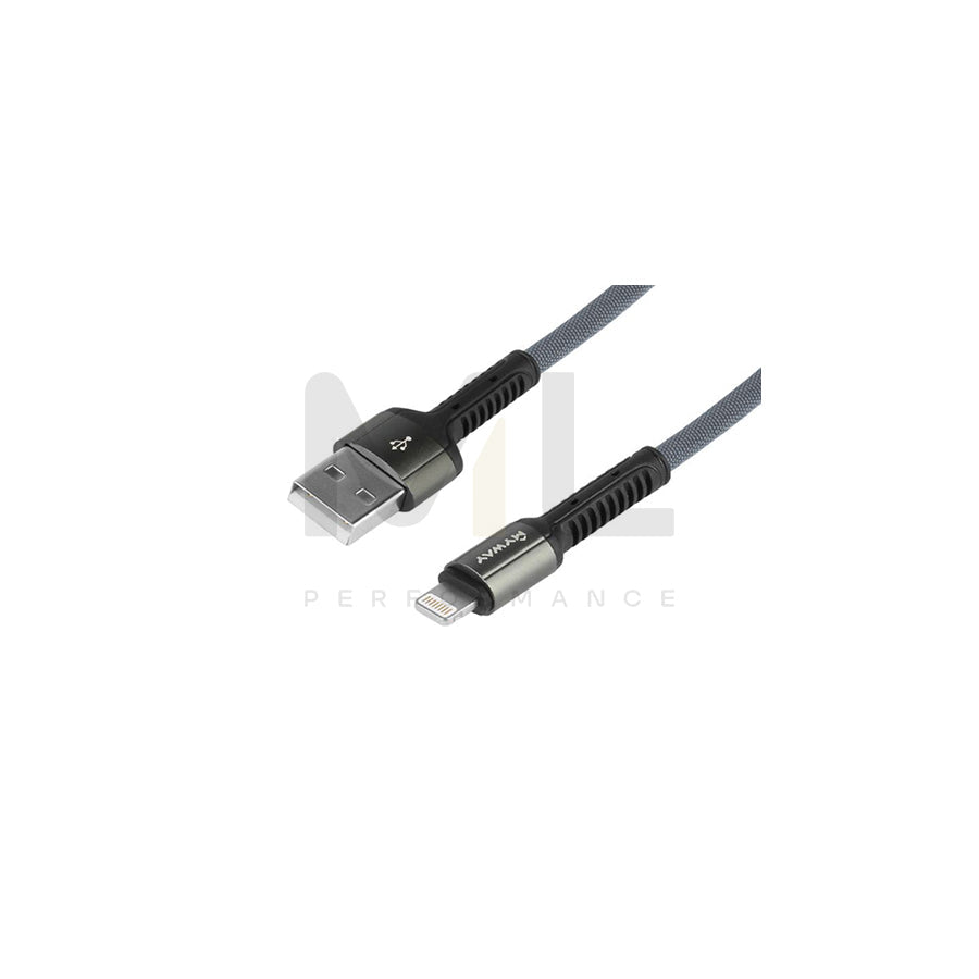 CARMOTION 63024 USB charge cable Grey