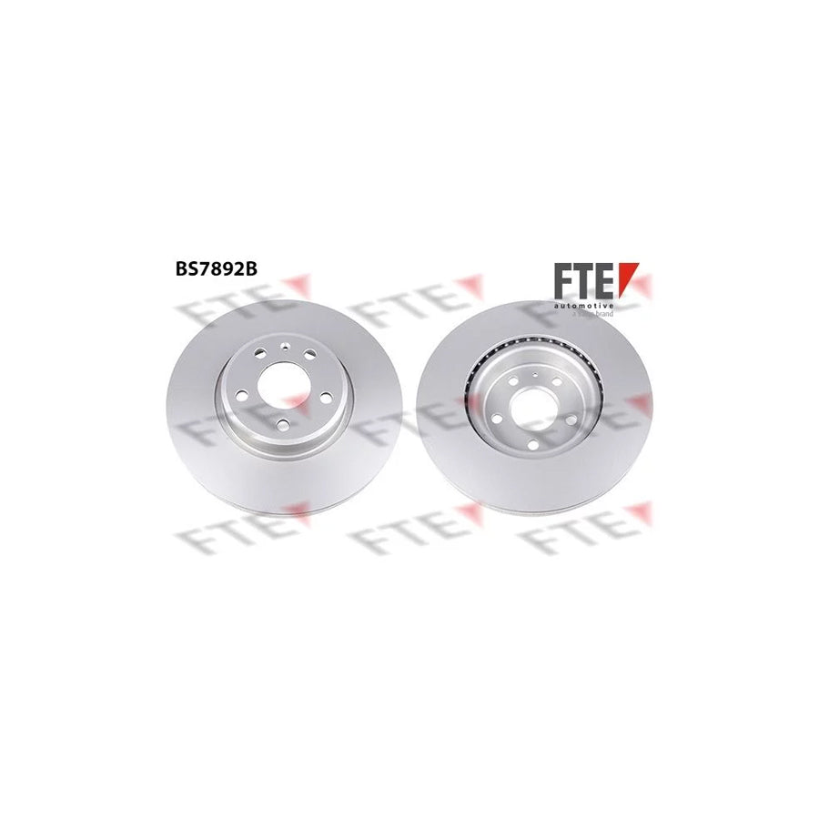 FTE 9081352 Brake Disc