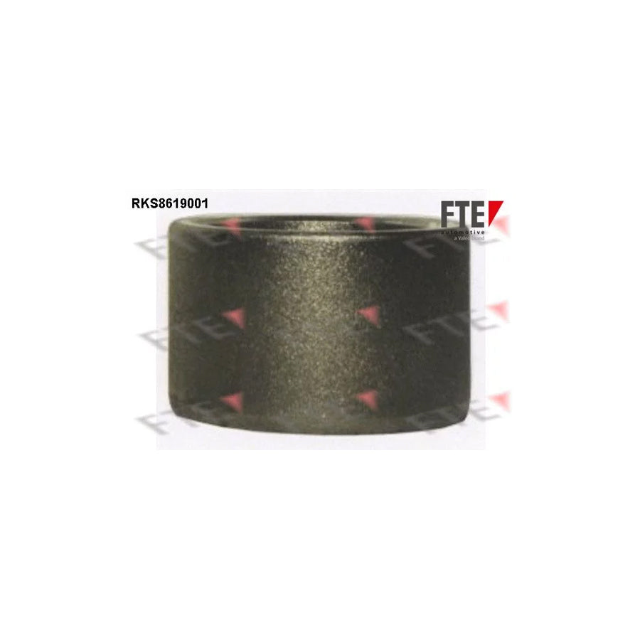 FTE 9313145 Piston, Brake Caliper