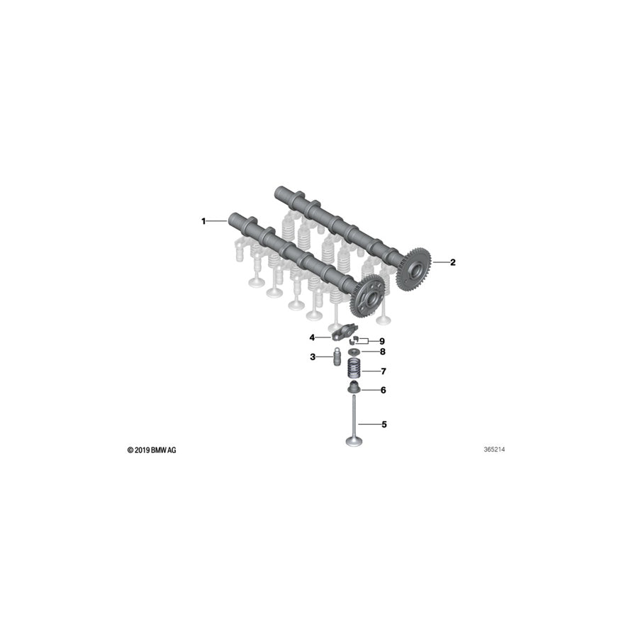 Genuine BMW 11318511209 F45 Camshaft Exhaust (Inc. One D, 216d & 114d) | ML Performance US Car Parts